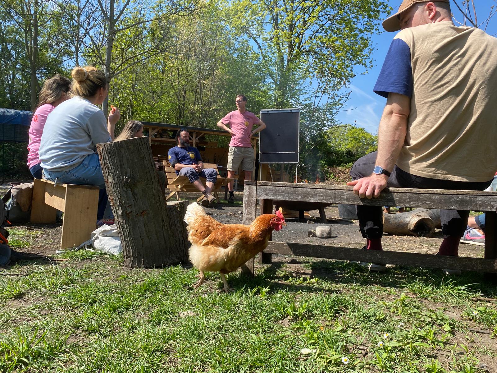 Menschen im Freien mit Huhn
