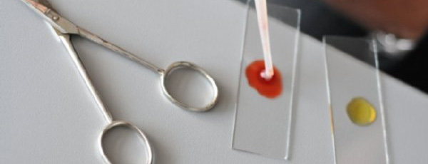 Foto: Experimentieren im BNT-Unterricht