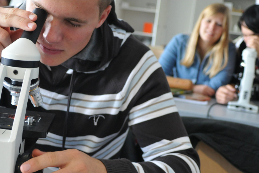 Link zur ZSL-Seite „Biologie“; Foto: Schülerinnen und Schüler mikroskopieren im Biologieunterricht.