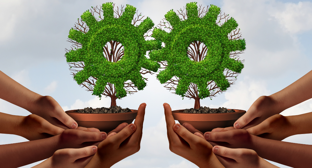 Symbolbild für Unterstützungsangebote zur Gesundheitsförderung für Schulen: Viele Hände halten zwei Blumentöpfe mit Pflanzen, die wie Zahnräder aussehen, die ineinandergreifen