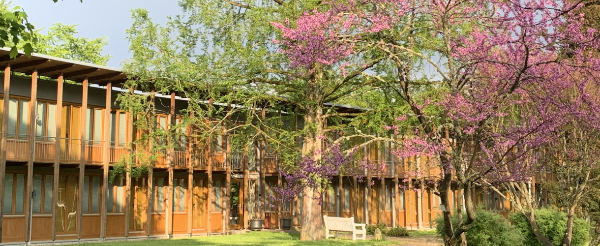 Foto: Blick auf das Gästehaus von Schloss Rotenfels mit Bäumen im Vordergrund
