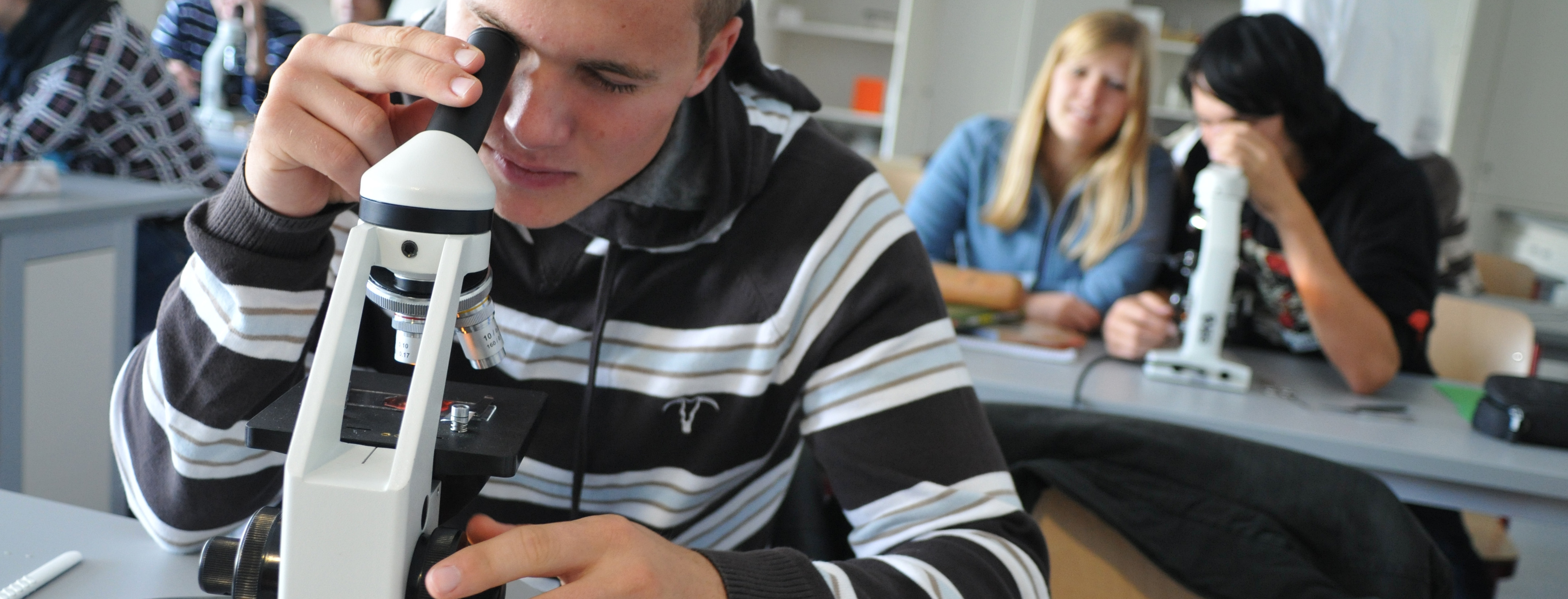 Foto: Schülerinnen und Schüler mikroslopieren im Biologieunterricht 