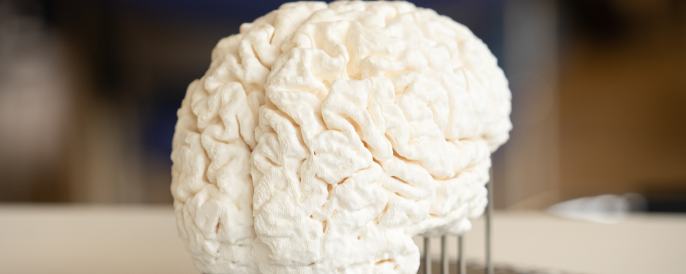 Symbolbild für 3D-erleben-Projekte (Foto: im 3D-Druck hergestellte Plastik eines weißen Gehirns)