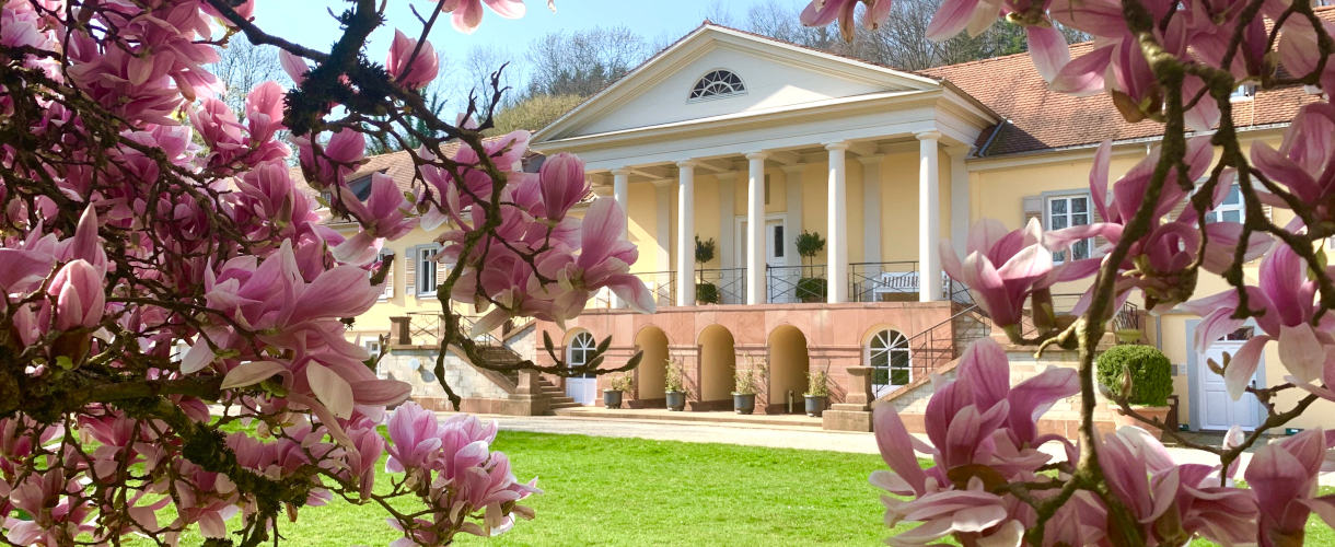 Foto: von Magnolienblüten umrahmter Blick auf die Fassade von Schloss Rotenfels