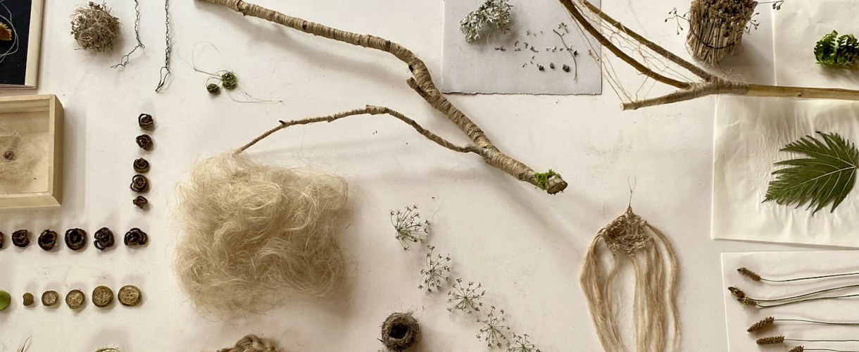 Auf dem Foto ist eine Sammlung sortierter Naturmaterialien wie Zweige, Pflanzenfasern, Samen und Blätter auf hellem Untergrund zu sehen.
