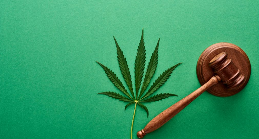 Link; Symbolbild Suchtprävention (Foto: Richterhammer und Cannabisblatt auf grünem Hintergrund. Die Grafik symbolisiert rechtliche Fragen oder Gesetze rund um Cannabis.)
