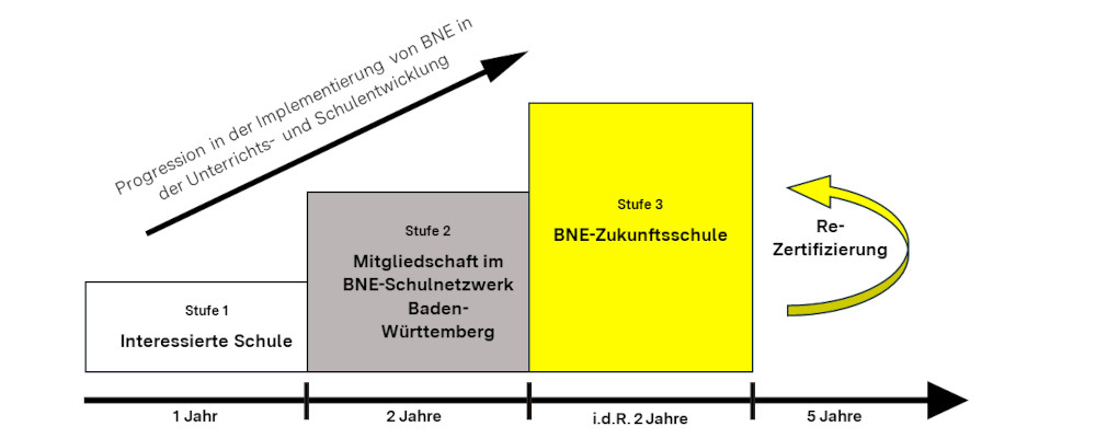 Grafik: Entwicklungsstufen des BNE-Schulnetzwerks Baden-Württemberg. Eine barrierefreie Beschreibung der Grafik wird im Text zur Verfügung gestellt.