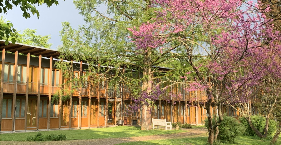Foto: Blick durch einen blühenden Baum auf die Holzfassade eines länglichen, modernen Gebäudes mit vielen regelmäßig angeordneten Fenstern.