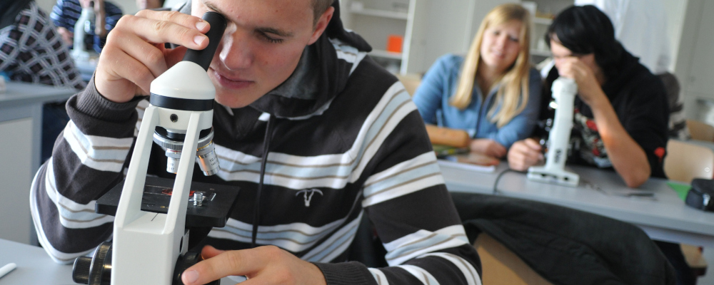 Foto: Schülerinnen und Schüler mikroslopieren im Biologieunterricht 